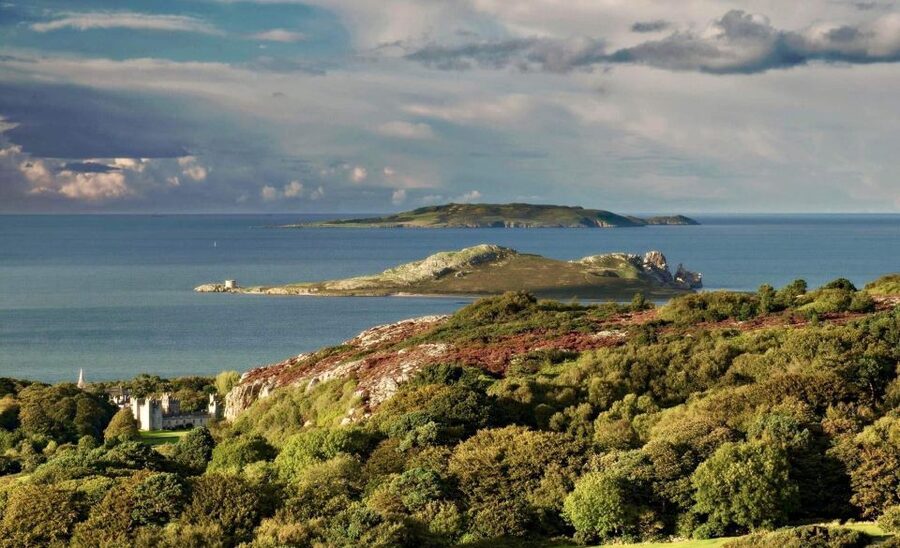 Dublin: Howth Coastal Hiking Tour - Balscadden Bay and the return to the harbour