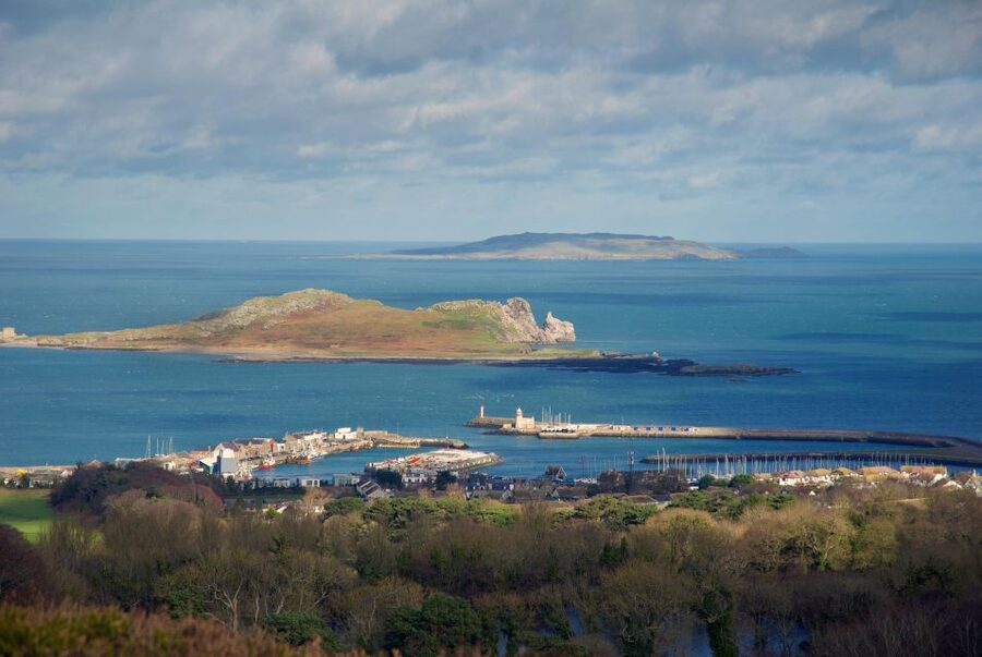 Dublin: Howth Coastal Hiking Tour - Howth Harbour, seals, and the old village