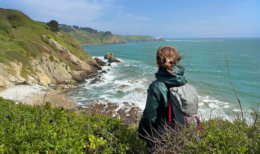 Dublin: Howth Safari Hiking Tour - Key points at a glance