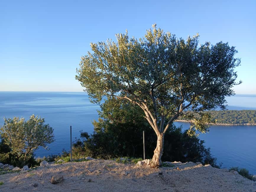 Dubrovnik: Early Nature Walk with a Historical Twist - Why an early start changes your Dubrovnik day