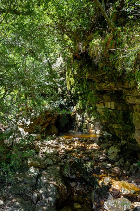 E-Bike & Hike Jonkershoek - Should you book E-Bike & Hike Jonkershoek?