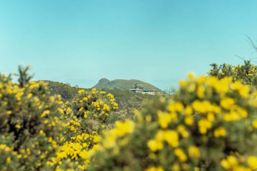 Edinburgh: Arthur's Seat Sunrise Hike with Mountain Guide - The climb to the 251-metre summit