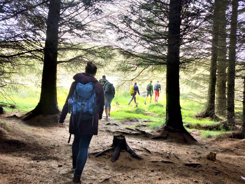 Edinburgh: Hill & Nature Hike With a Local - Who should book this Pentland Hills hike?