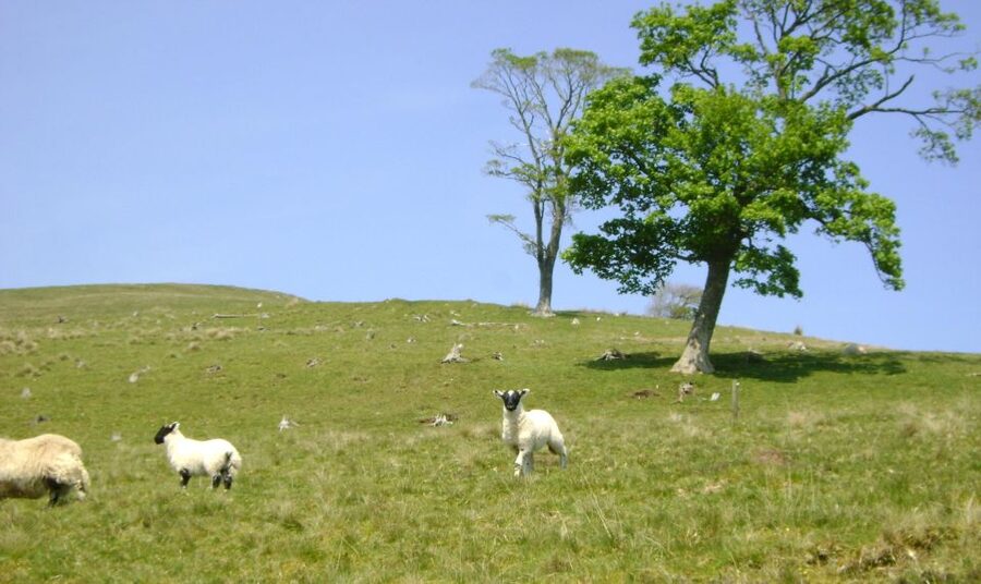 Edinburgh: Hill & Nature Hike With a Local - Scottish weather is part of the experience