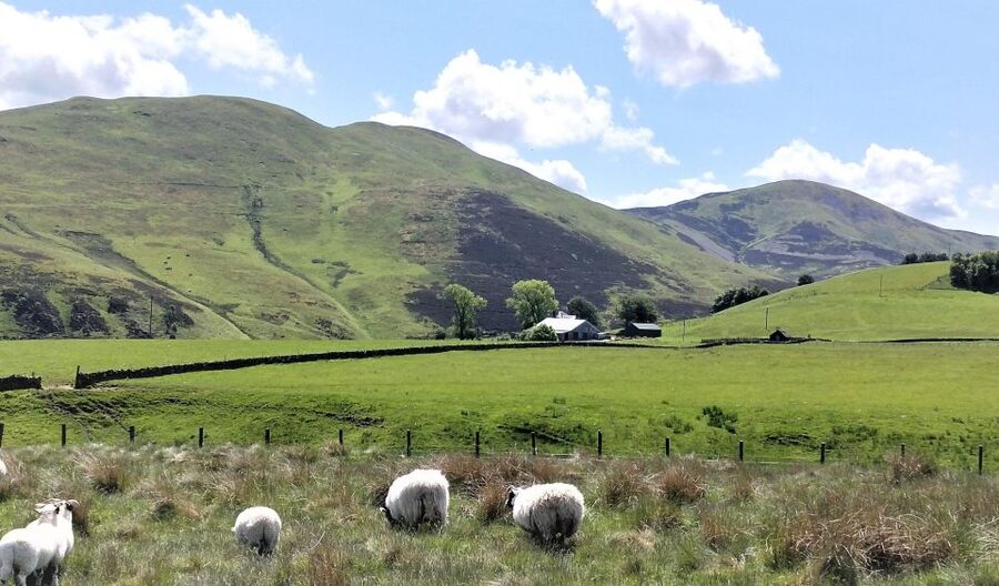 Edinburgh: Hill & Nature Hike With a Local - Is $116 a fair price?