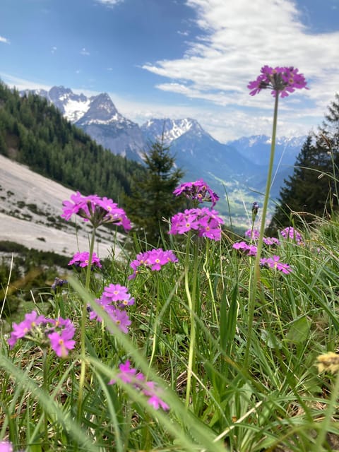 Ehrwald: Hiking Tour into breath taking Nature - Weather, route changes, and what to pack