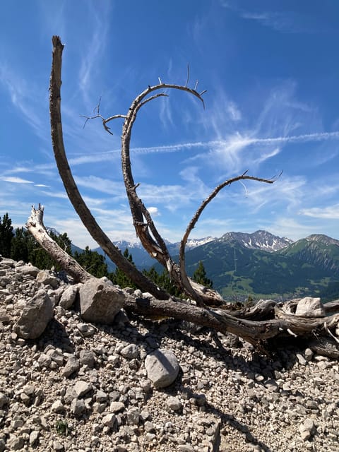 Ehrwald: Hiking Tour into breath taking Nature - Price and what the $81 covers