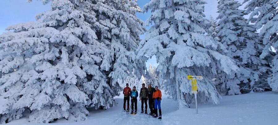 Ehrwald: Zugspitze Snowshoe Hiking Tour with Mountain Views - Key points to know before booking