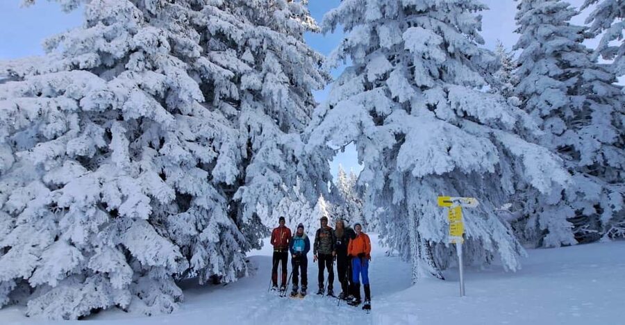 Ehrwald: Zugspitze Snowshoe Hiking Tour with Mountain Views - How much value do you get for $80?