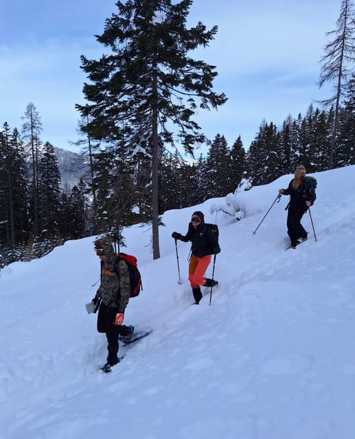 Ehrwald: Zugspitze Snowshoe Hiking Tour with Mountain Views - Who will enjoy this most?