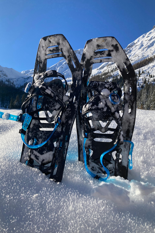 Ehrwald: Zugspitze Snowshoe Hiking Tour with Mountain Views - Practical preparation for Ebne 5