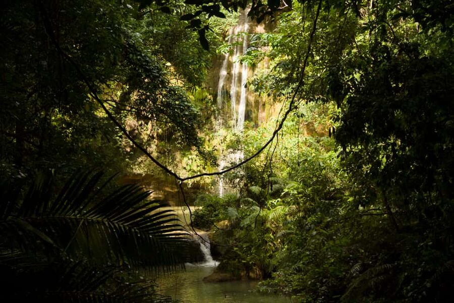 El Limón: Waterfall Hiking Tour with Lunch - Reaching El Limón from the meeting point