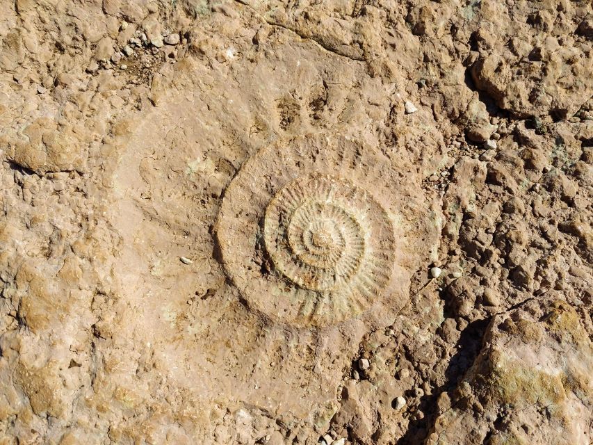 El Torcal de Antequera Hike with Transfer - The 4.5-kilometer Ammonites Route