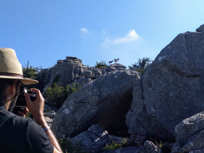 El Torcal de Antequera Hike with Transfer - Is $41 a fair price?
