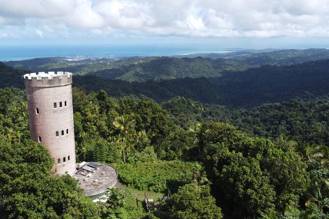 El Yunque Rainforest Hike with Transport from San Juan - What this six to seven hour El Yunque day really offers