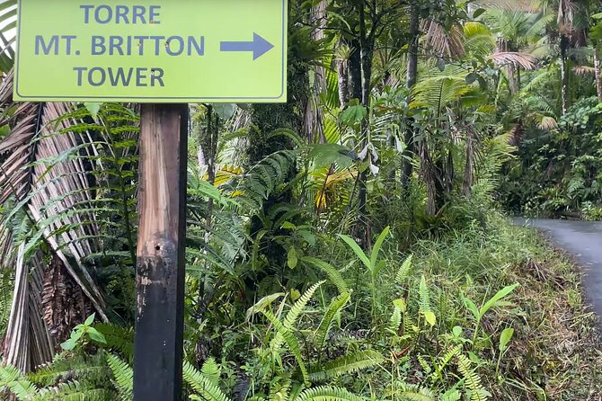 El Yunque Rainforest Hike with Transport from San Juan - Leaving San Juan in an air-conditioned vehicle