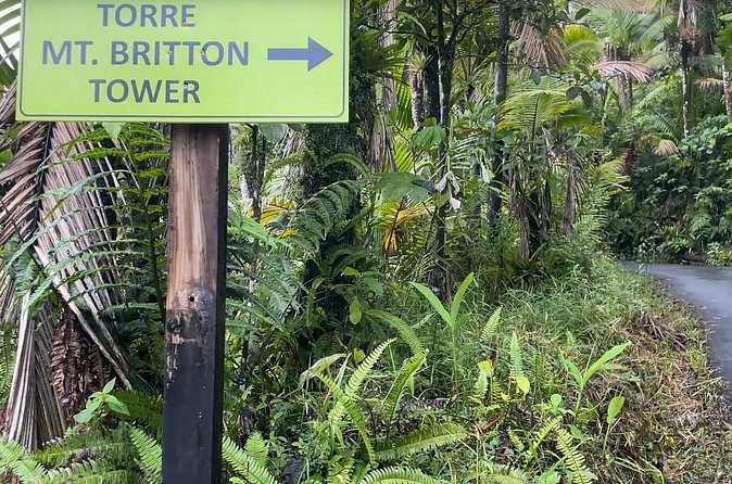 El Yunque Rainforest Hike with Transport from San Juan - Waterfalls, river stops, and changing conditions
