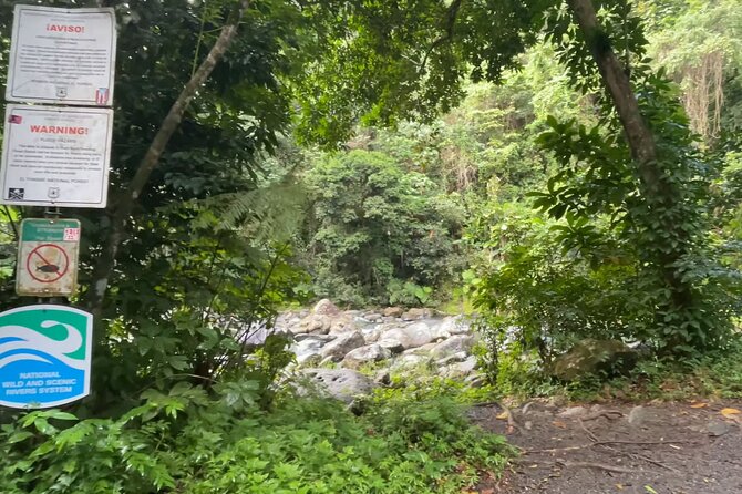 El Yunque Rainforest Hike with Transport from San Juan - Food is on your own, with local options possible