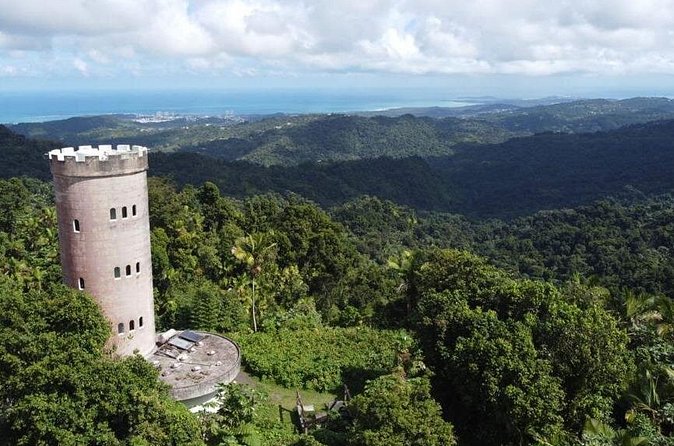 El Yunque Rainforest Hike with Transport from San Juan - Who will find this tour worth $125?