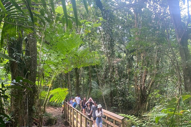 El Yunque Rainforest Hiking Tour from San Juan - Key Points at a Glance