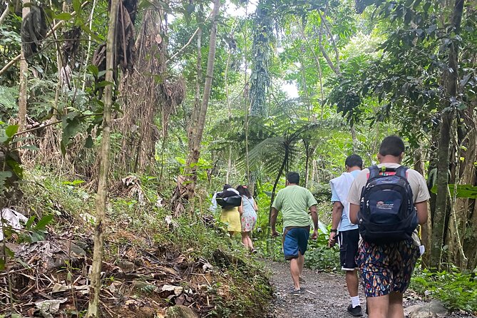El Yunque Rainforest Hiking Tour from San Juan - Yokahu Tower and the Big Forest View
