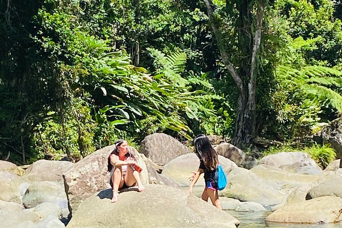 El Yunque Rainforest Hiking Tour from San Juan - La Coca Falls: A Scenic Stop Without a Long Walk