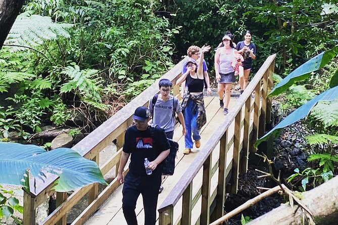 El Yunque Rainforest Hiking Tour from San Juan - The Forest Trail and River Pool