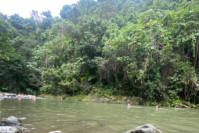 El Yunque Rainforest Hiking Tour from San Juan - What the Guides Add to the Day