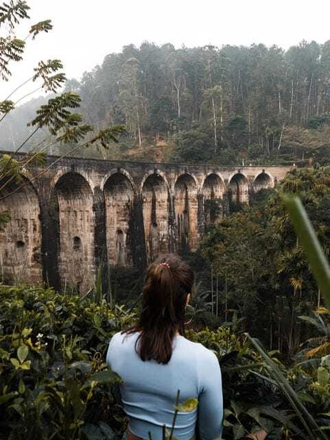 Ella Day Trip: with Little Adam's Peak Hike From Colombo - Little Adam’s Peak is the main event