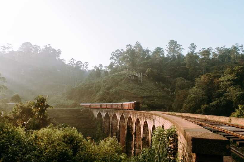 Ella Day Trip: with Little Adam's Peak Hike From Colombo - Who will enjoy this most