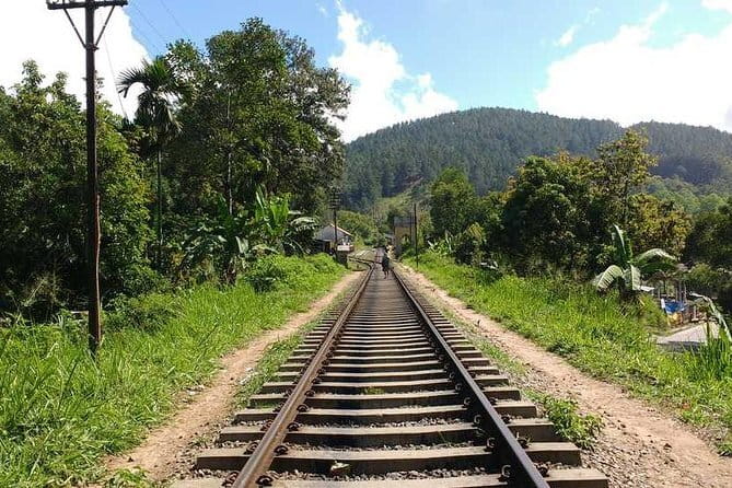 Ella Rock Hiking Tours ( sunrise-tour ,good morning tour,sunny afternoon tour ) - How much value do you get for $30?