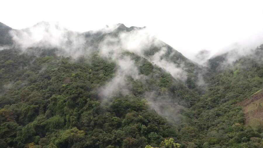 Ella: Waterfall hunting Hike to Bambarakanda and Lanka Falls - Should you book the Bambarakanda and Lanka Ella hike?