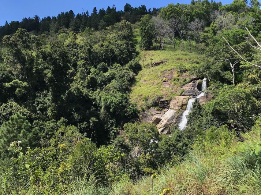 Ella: Waterfall hunting Hike to Bambarakanda and Lanka Falls - The secret stop and the value of a local guide