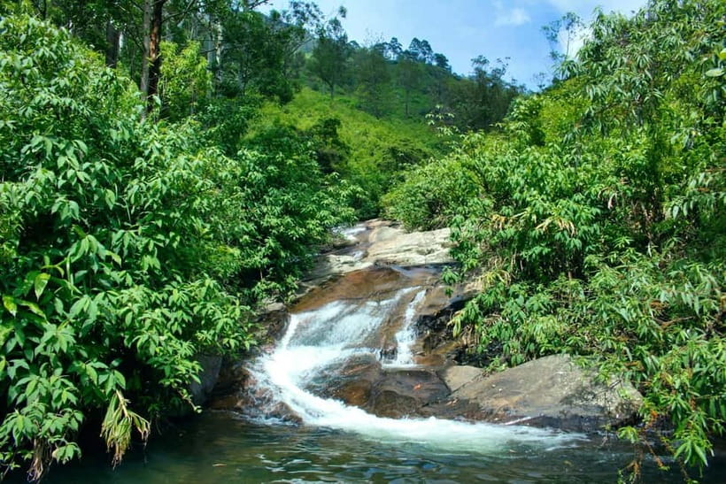 Ella: Waterfall hunting Hike to Bambarakanda and Lanka Falls - A homemade-style lunch with a view