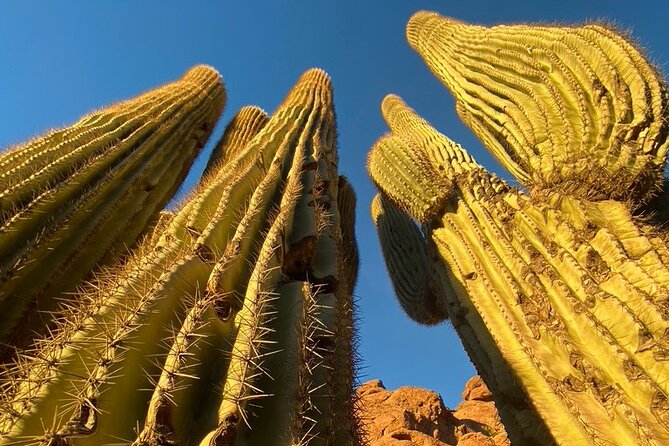 Epic Camelback Mountain Guided Hiking Adventure in Phoenix, Arizona - Why Camelback Mountain is a serious Phoenix hike