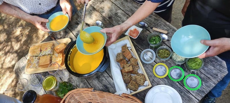 Escape from Tallinn – Hike, Swim, Forage & Cuddle Sled Dogs - What makes Uuejärve farmhouse special