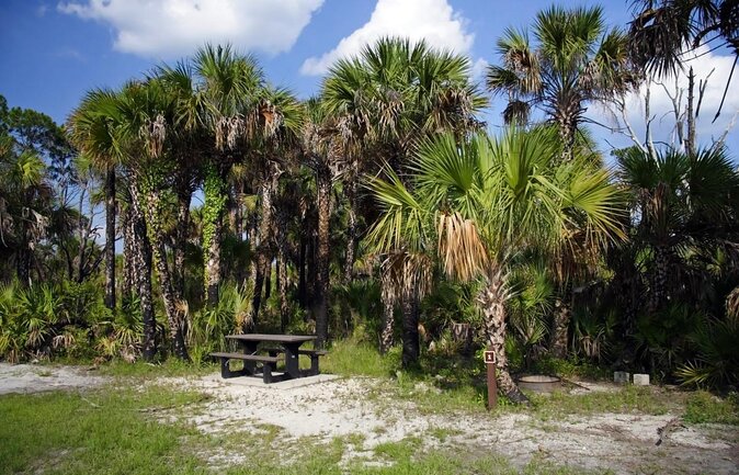 Everglades National Park Biologist Led Adventure: Cruise, Hike + Airboat - Why this full-day Everglades trip works