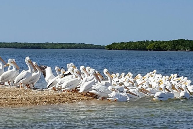 Everglades National Park Biologist Led Adventure: Cruise, Hike + Airboat - Miccosukee culture and the Oasis stop