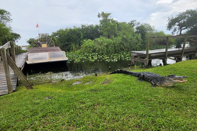 Everglades National Park Biologist Led Adventure: Cruise, Hike + Airboat - Walking through Big Cypress National Preserve