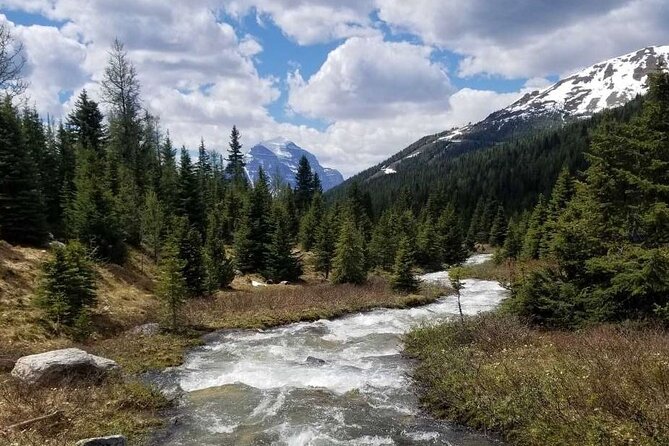 Exclusive Skoki Backcountry Guided Hiking in Lake Louise with Van Shuttle - What the guide adds to the day