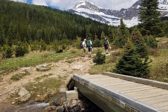 Exclusive Skoki Backcountry Guided Hiking in Lake Louise with Van Shuttle - Price and what the $154.42 includes