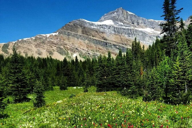 Exclusive Skoki Backcountry Guided Hiking in Lake Louise with Van Shuttle - Practical details to handle before booking