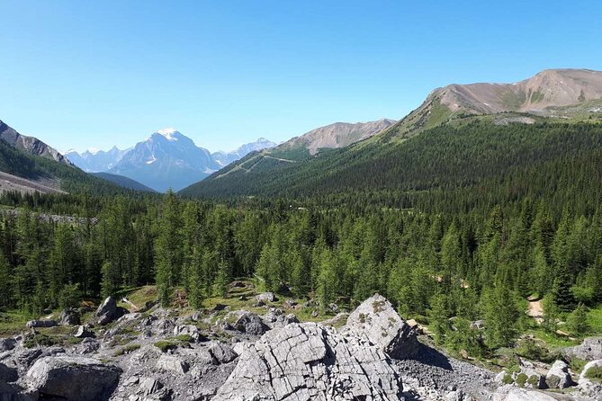 Exclusive Skoki Backcountry Guided Hiking in Lake Louise with Van Shuttle - Hiking through forests, meadows, and mountain passes