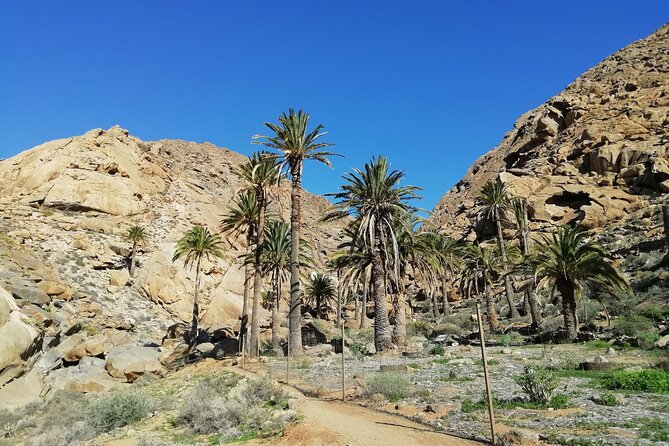 Excursion to Ajuy Caves with a secret Las Penitas canyon Hike - The climbing is manageable, but do not treat it as a stroll