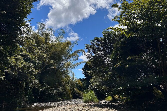 Explore El Yunque: Hiking, Swings & Waterslide (Small Group) - The First Pool: Swim, Swing, or Watch