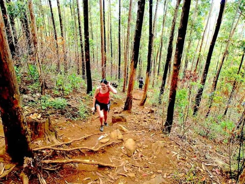 Explore Ella: Rock Hike, Loop, Falls, Nine arch & Train View - Ella Rock gives the day its purpose
