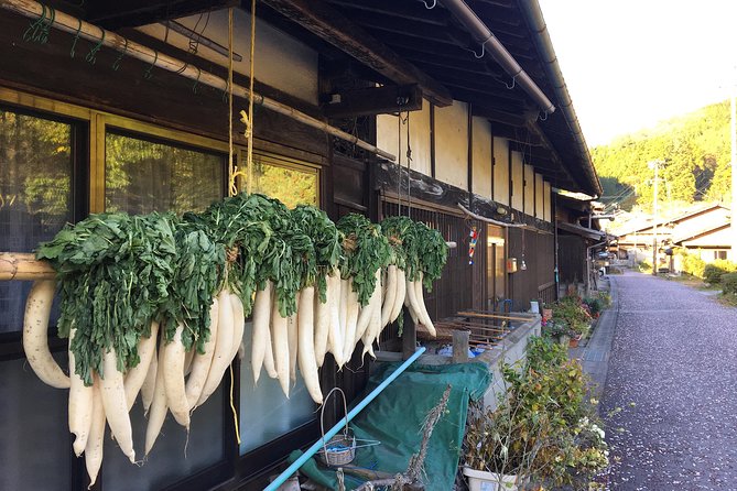 Explore Kiso Valley : Magome - Tsumago Mountain Trail Walk - Forest paths and the Odaki-Medaki Waterfalls