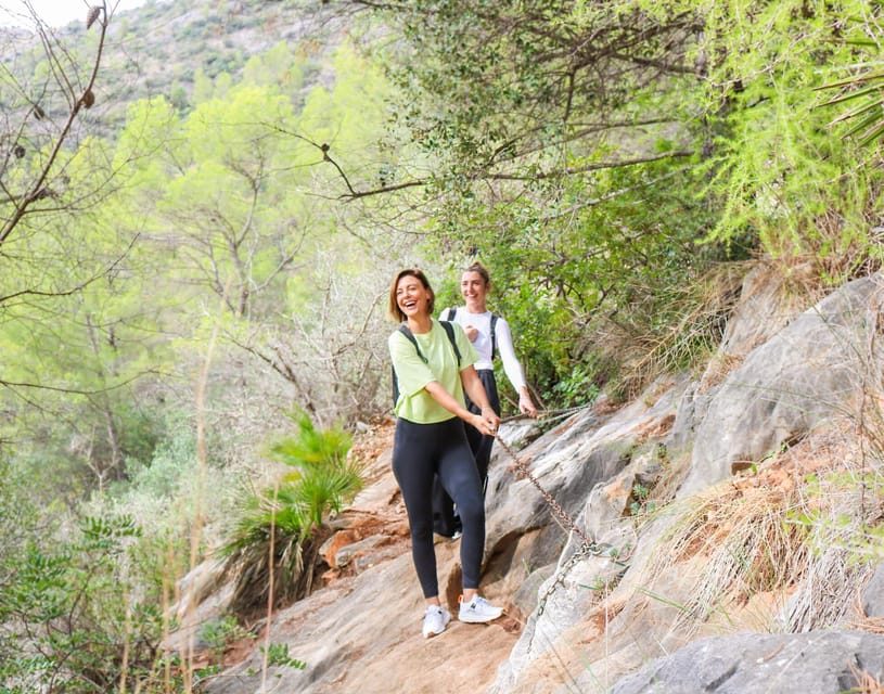 Explore Marbella's Nature: Guided Hiking And Foraging Trip - Key points at a glance