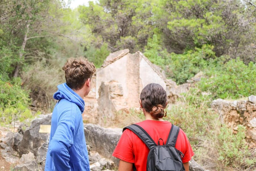Explore Marbella's Nature: Guided Hiking And Foraging Trip - The final hour and the return to the parking area