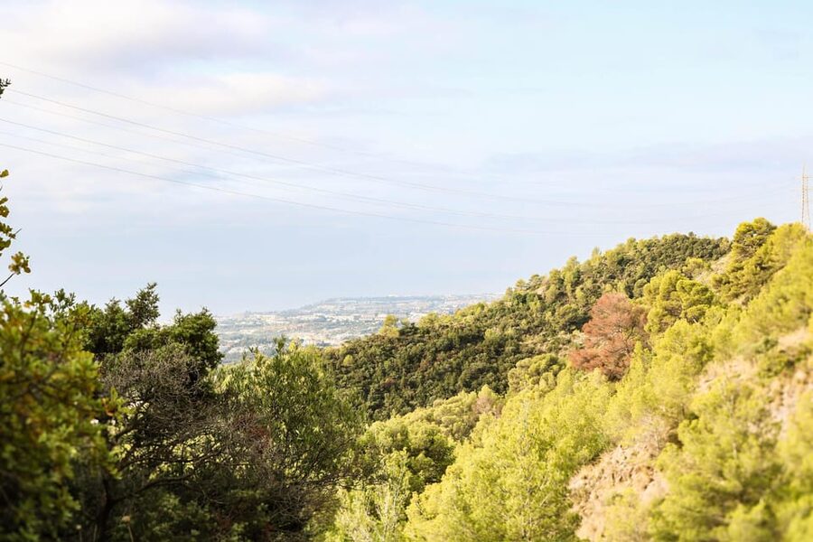 Explore Marbella's Nature: Guided Hiking And Foraging Trip - What you receive for $33
